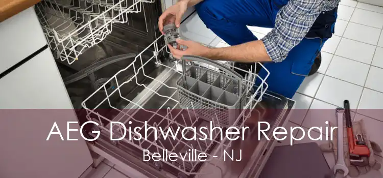 AEG Dishwasher Repair Belleville - NJ