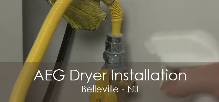 AEG Dryer Installation Belleville - NJ