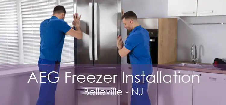 AEG Freezer Installation Belleville - NJ