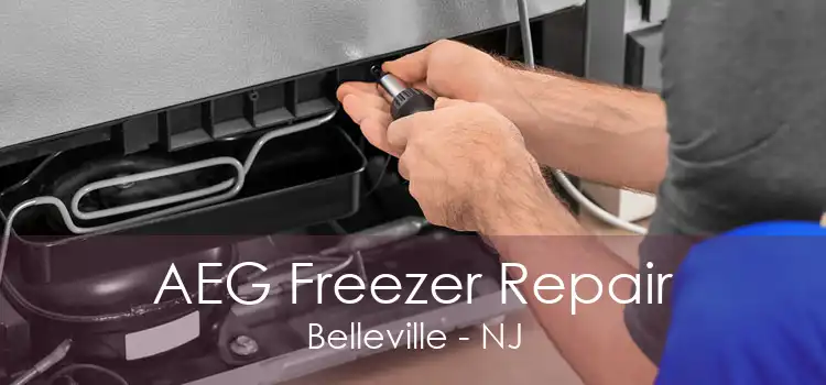 AEG Freezer Repair Belleville - NJ