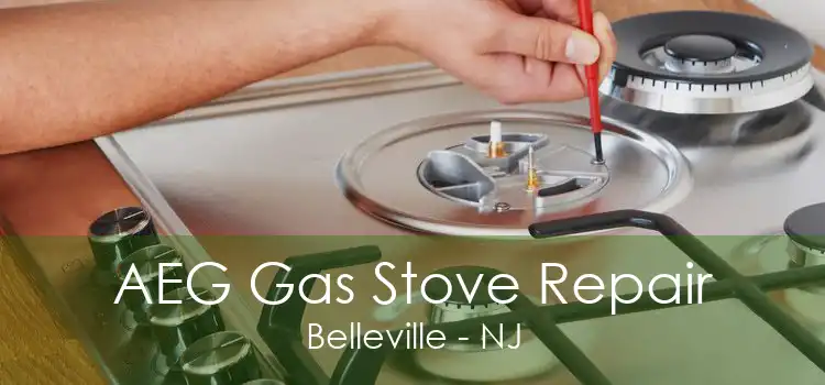 AEG Gas Stove Repair Belleville - NJ