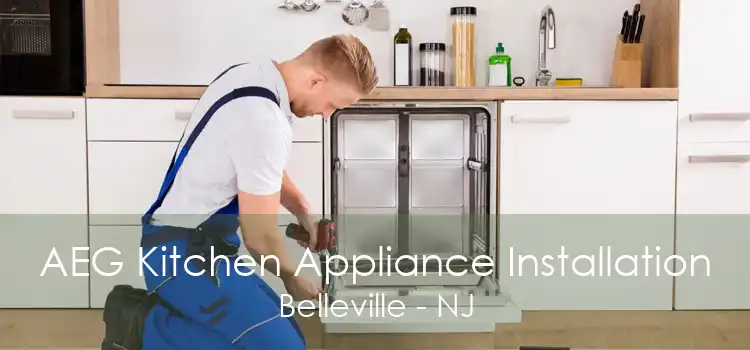 AEG Kitchen Appliance Installation Belleville - NJ