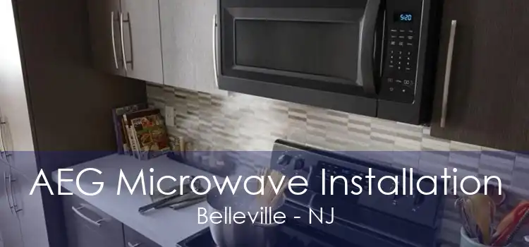 AEG Microwave Installation Belleville - NJ