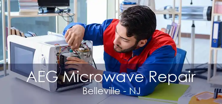 AEG Microwave Repair Belleville - NJ