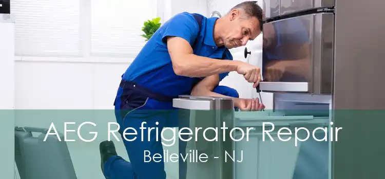 AEG Refrigerator Repair Belleville - NJ