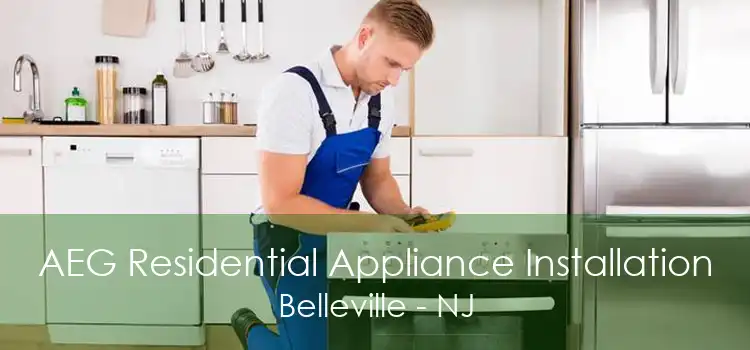 AEG Residential Appliance Installation Belleville - NJ