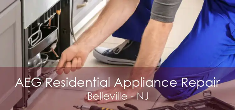 AEG Residential Appliance Repair Belleville - NJ