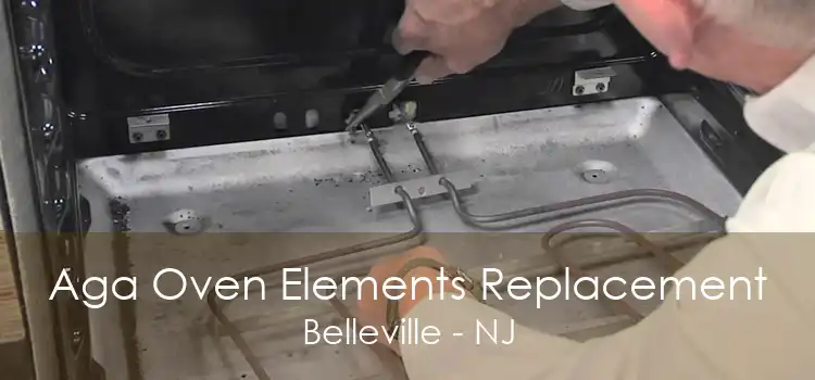 Aga Oven Elements Replacement Belleville - NJ