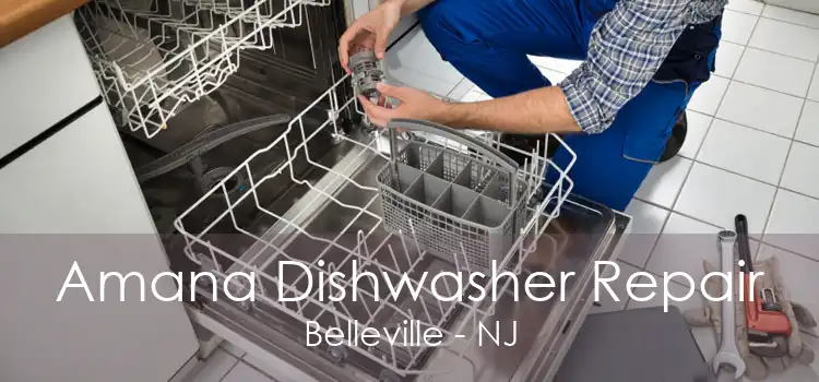 Amana Dishwasher Repair Belleville - NJ