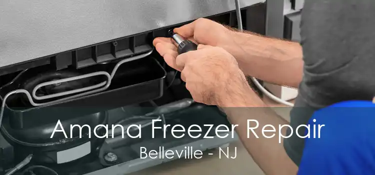 Amana Freezer Repair Belleville - NJ