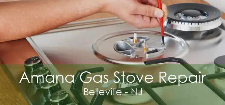 Amana Gas Stove Repair Belleville - NJ