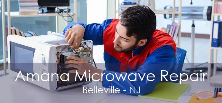 Amana Microwave Repair Belleville - NJ