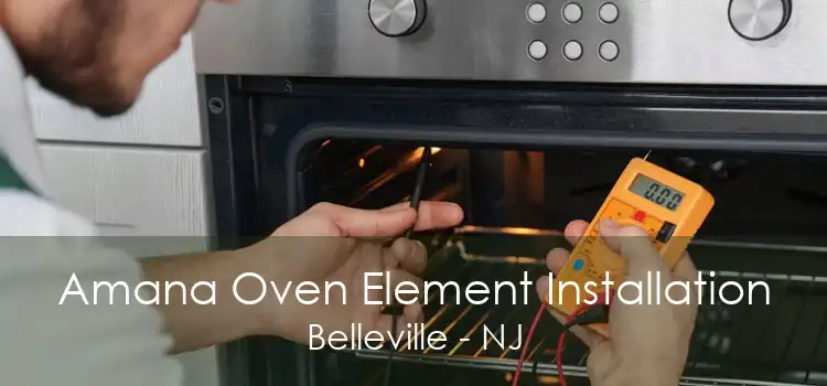 Amana Oven Element Installation Belleville - NJ