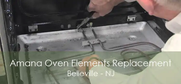 Amana Oven Elements Replacement Belleville - NJ