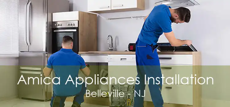 Amica Appliances Installation Belleville - NJ