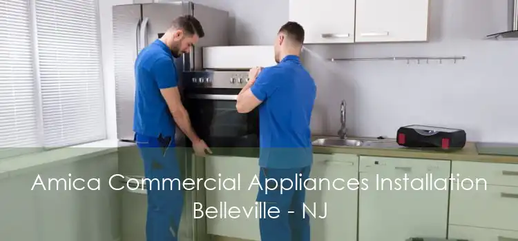 Amica Commercial Appliances Installation Belleville - NJ