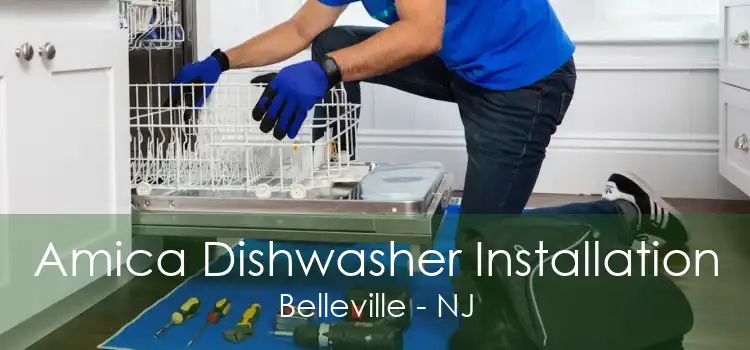 Amica Dishwasher Installation Belleville - NJ