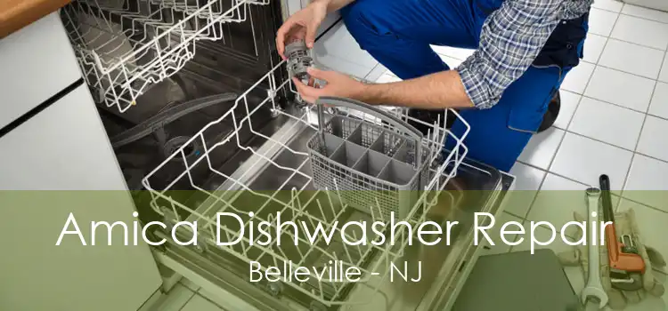 Amica Dishwasher Repair Belleville - NJ