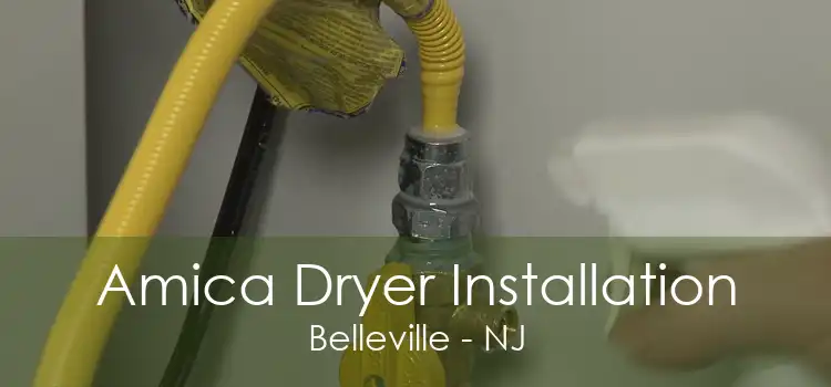 Amica Dryer Installation Belleville - NJ