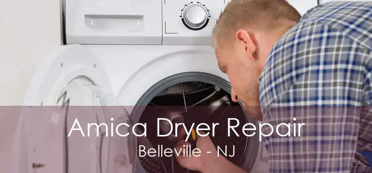 Amica Dryer Repair Belleville - NJ