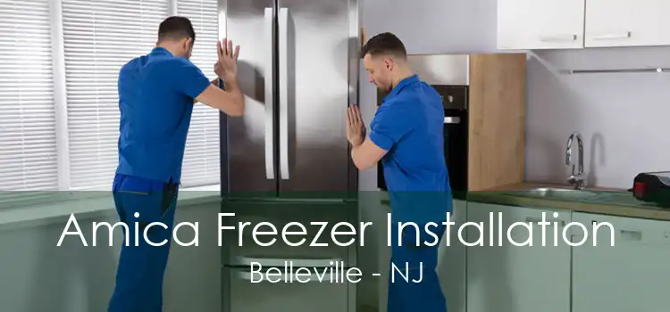 Amica Freezer Installation Belleville - NJ