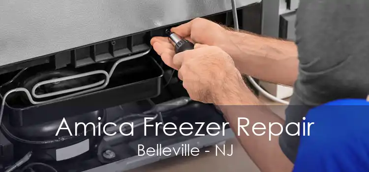 Amica Freezer Repair Belleville - NJ