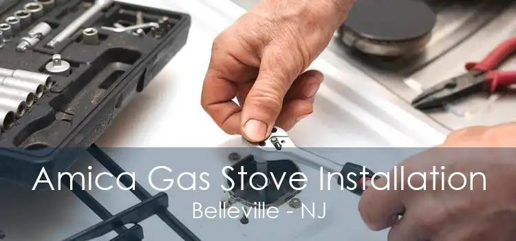 Amica Gas Stove Installation Belleville - NJ