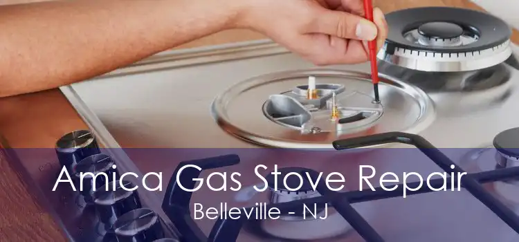 Amica Gas Stove Repair Belleville - NJ