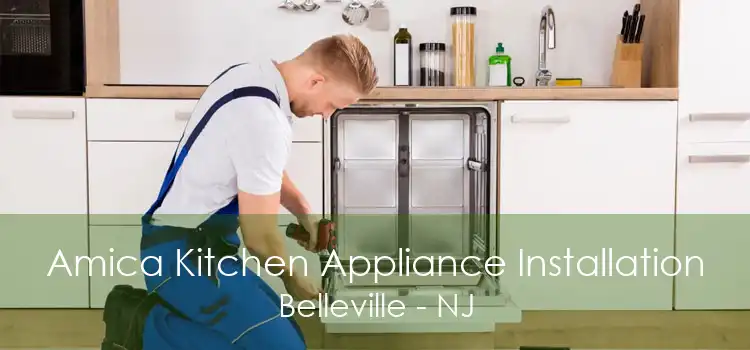 Amica Kitchen Appliance Installation Belleville - NJ