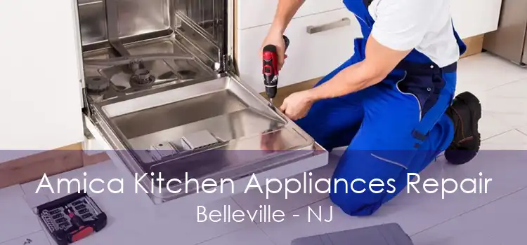 Amica Kitchen Appliances Repair Belleville - NJ