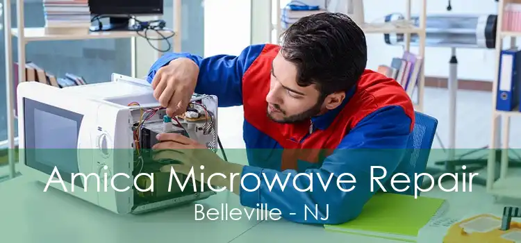 Amica Microwave Repair Belleville - NJ