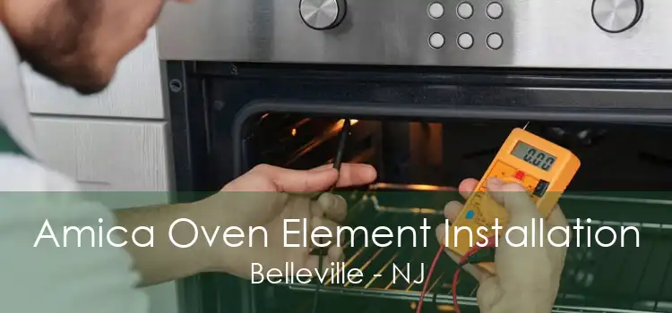 Amica Oven Element Installation Belleville - NJ