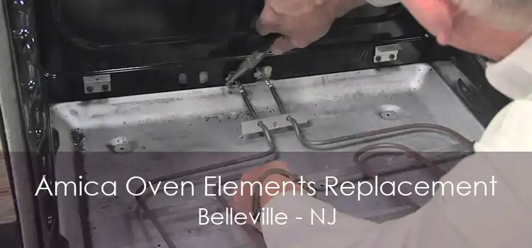 Amica Oven Elements Replacement Belleville - NJ