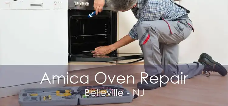 Amica Oven Repair Belleville - NJ