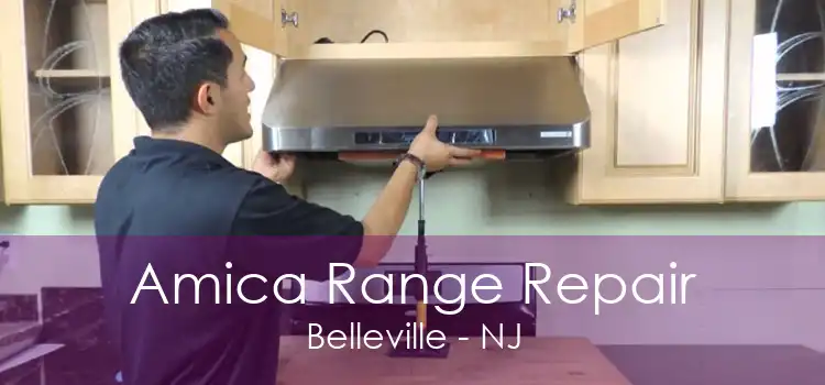 Amica Range Repair Belleville - NJ