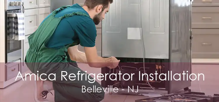 Amica Refrigerator Installation Belleville - NJ