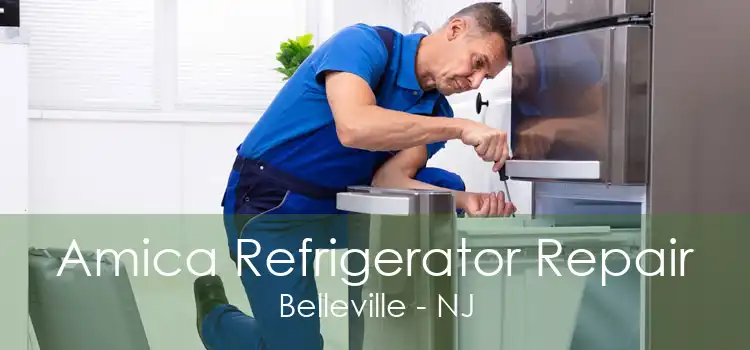 Amica Refrigerator Repair Belleville - NJ