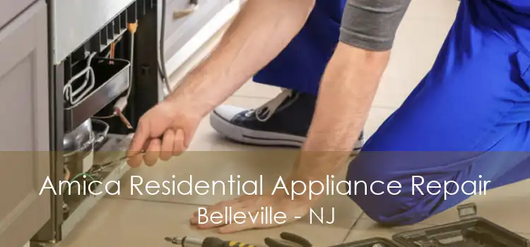 Amica Residential Appliance Repair Belleville - NJ