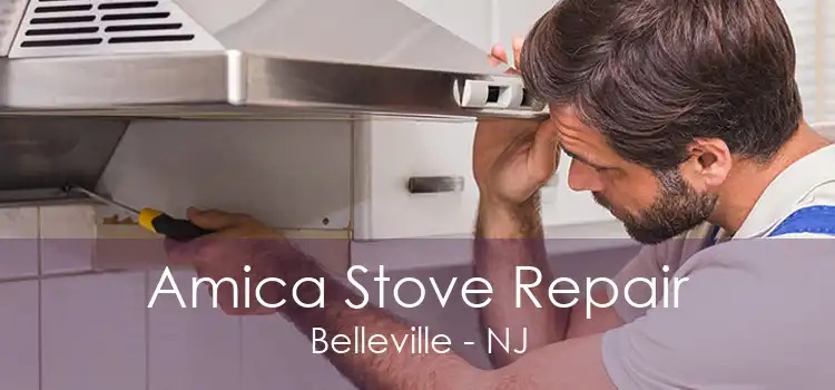 Amica Stove Repair Belleville - NJ