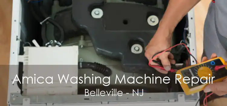 Amica Washing Machine Repair Belleville - NJ