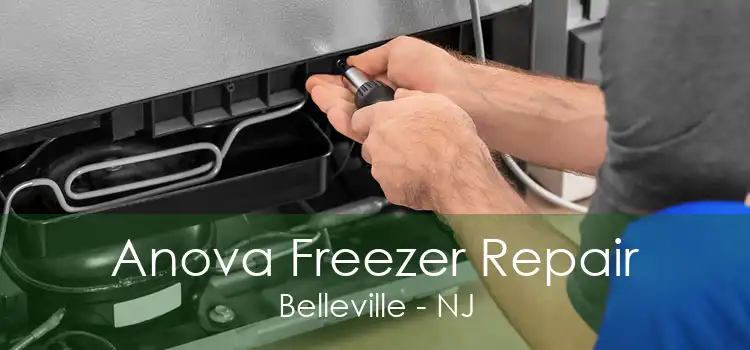 Anova Freezer Repair Belleville - NJ