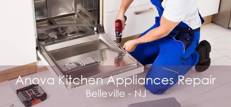 Anova Kitchen Appliances Repair Belleville - NJ