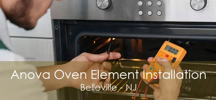 Anova Oven Element Installation Belleville - NJ