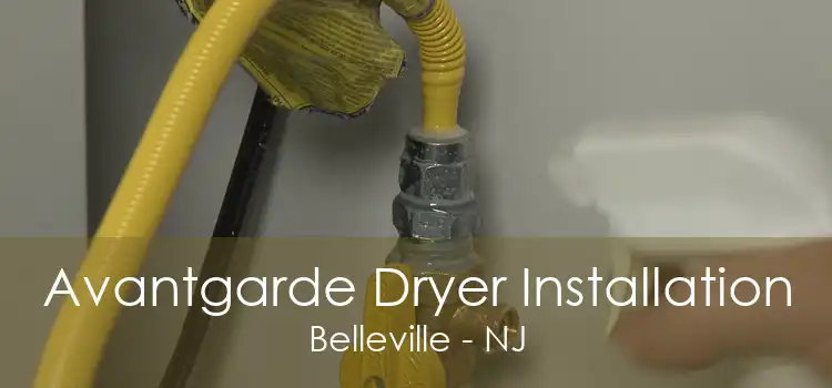 Avantgarde Dryer Installation Belleville - NJ