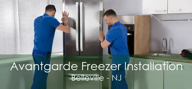 Avantgarde Freezer Installation Belleville - NJ