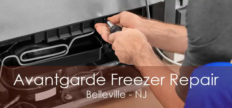 Avantgarde Freezer Repair Belleville - NJ