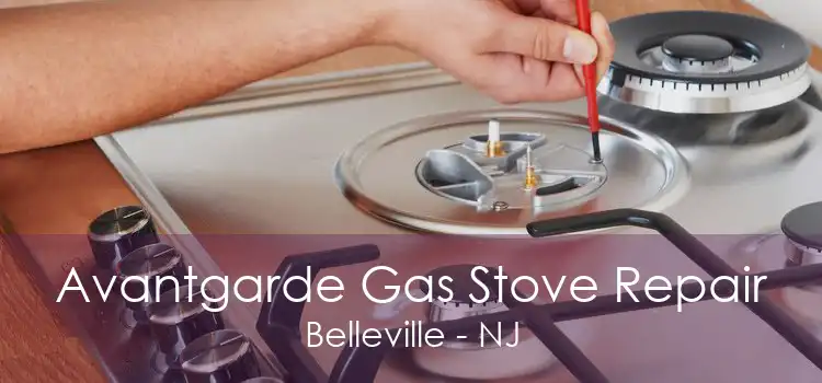 Avantgarde Gas Stove Repair Belleville - NJ