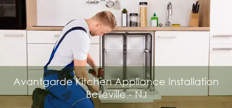 Avantgarde Kitchen Appliance Installation Belleville - NJ