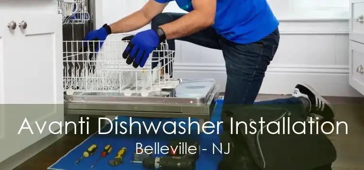 Avanti Dishwasher Installation Belleville - NJ