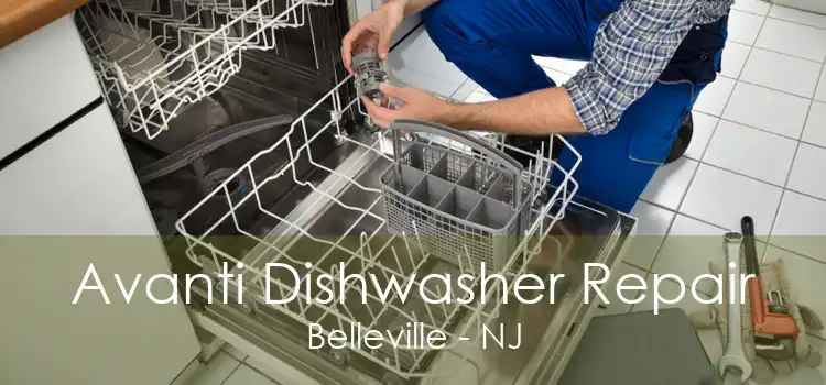 Avanti Dishwasher Repair Belleville - NJ